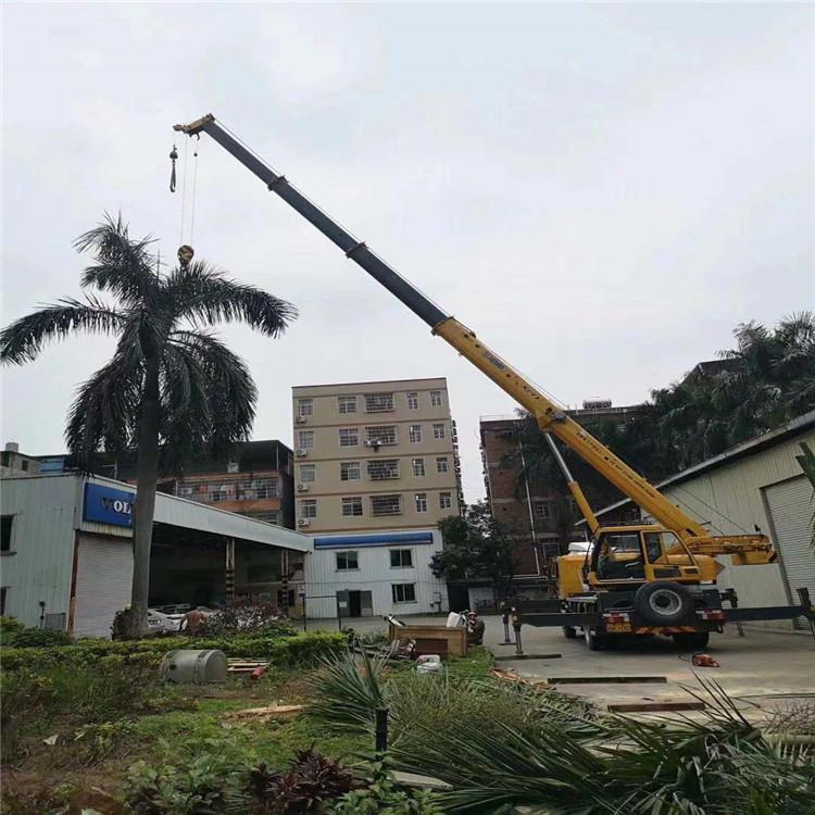 那坡吊车吊大树几种方法